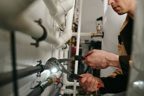 Best Local Plumber Services  in Bushnell, IL