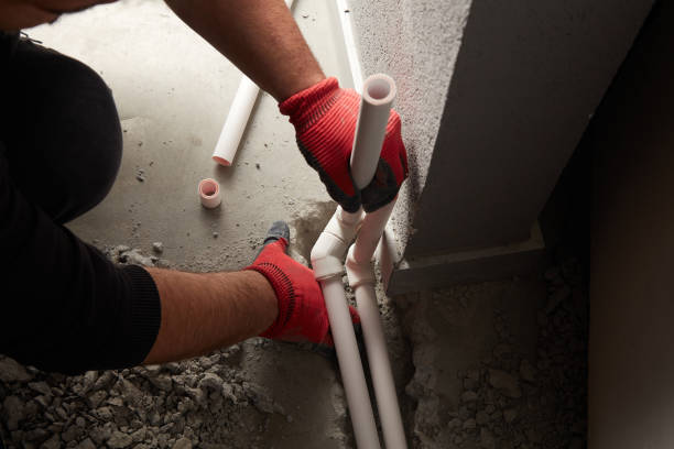 Best Plumbing Repair Near Me  in Bushnell, IL