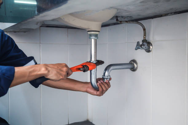 Best Best Plumbers Near Me  in Bushnell, IL