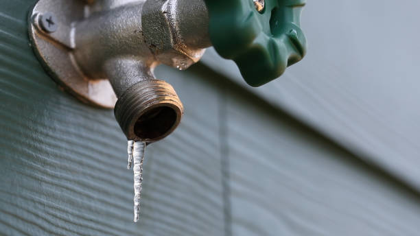 Best Shower Repair Services  in Bushnell, IL