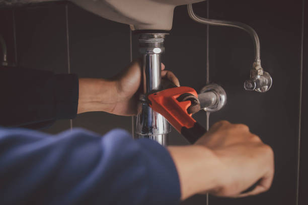 Best Plumbing Inspection Services  in Bushnell, IL